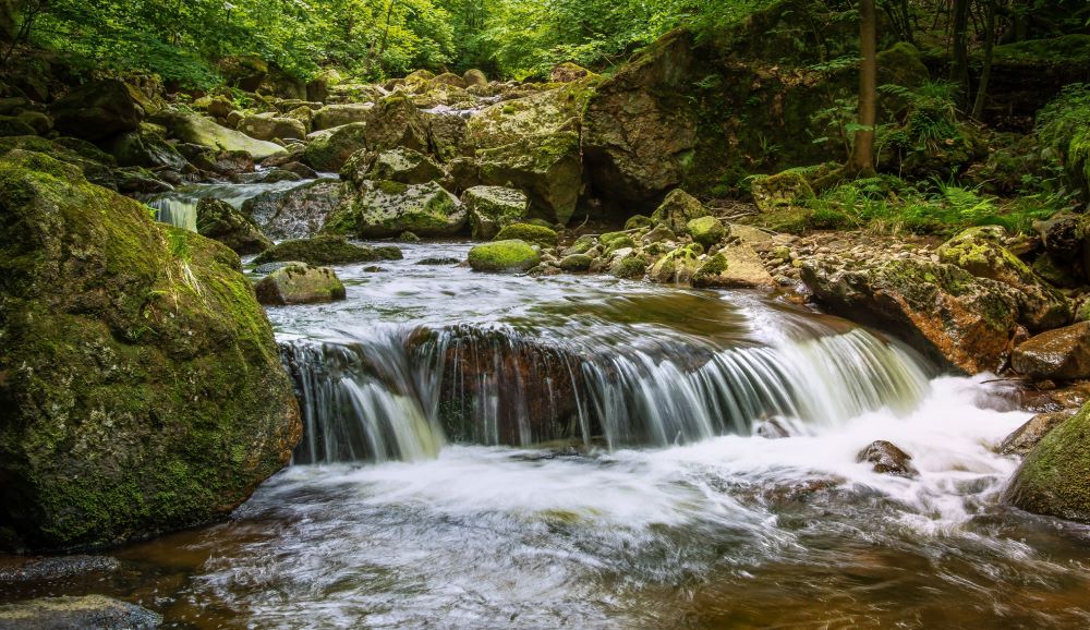 Fließgewässer Grundwissen