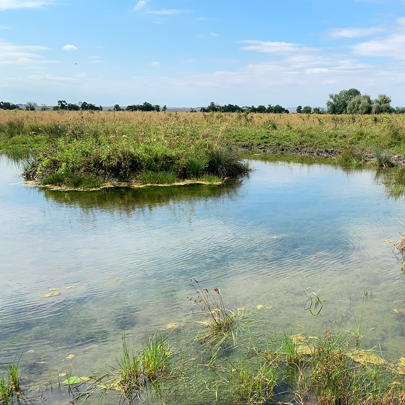 Öffnen 4. Monitoring: Grundlagen und Methoden